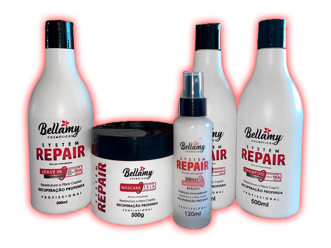 SYSTEM REPAIR (TEIA)